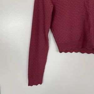 Zara textured, burgundy, fitted long sleeve, slightly cropped | size S